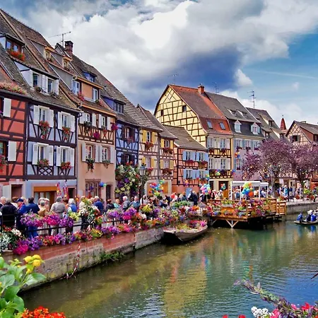 Myalsace